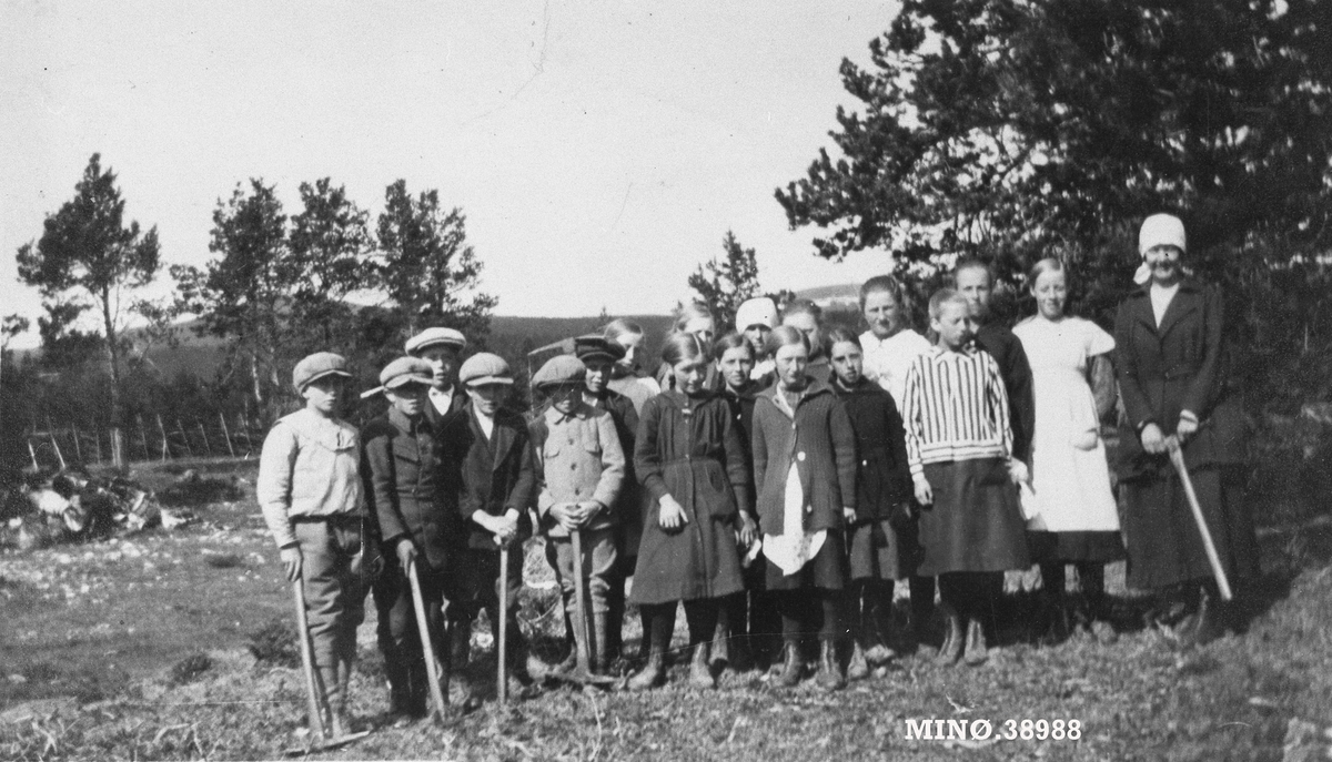 Skolebarn på skogplanting