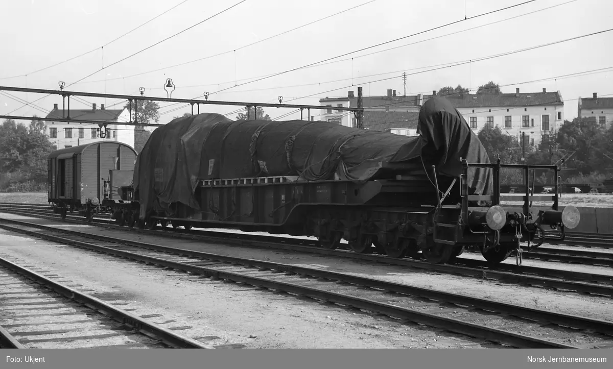 Transport av hval på tysk spesialvogn