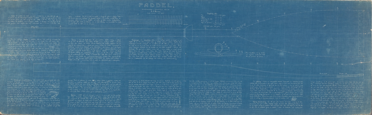 Paddelritning