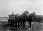 Soldat med häst och vagn år 1915. Första världskriget. 1915 F 
	Metallutfällning.