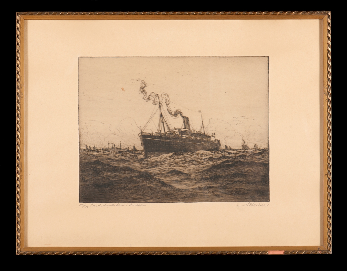 Passagerarångfartyg