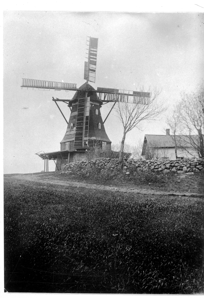 Gamla väderkvarnen på Viken. En av Falbygdens sista väderkvarnar. Hollandstyp. Raserad 1916.