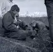 Ragnhild Boström och Ulf Erik Hagberg gör en arkeologisk undersökning på Kåreholm, juli 1962. Kåreholm är ön utanför Kårehamn.