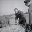 En demonstration i samband med en arkeologisk underökning vid Nybyåsen 1/10 1958.