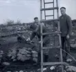 En arkeologisk utgrävning vid Törnbotten 14/10 1960.