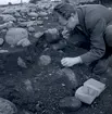 En arkeologisk utgrävning vid Törnbotten 14/10 1960.