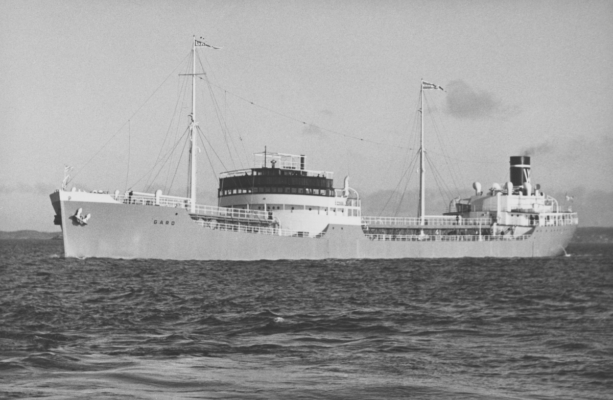Fo206415