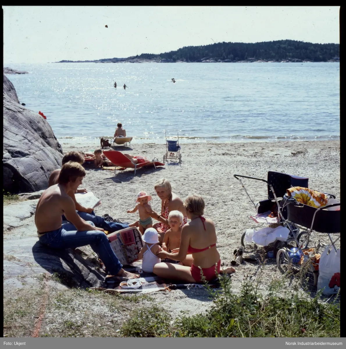 Hydrostranda, strandliv.