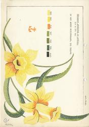 Broderimønster: Dukar