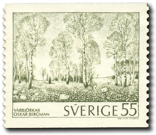 Vårbjörkar