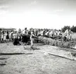 Deltagare under hantverksmässan i Kalmar 1947 reser midsommarstången.