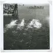 Från SM i simning vid Långviksbadet i Kalmar 2/8 1946.