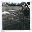 Från SM i simning, som 1946 hölls vid Långviksbadet i Kalmar.