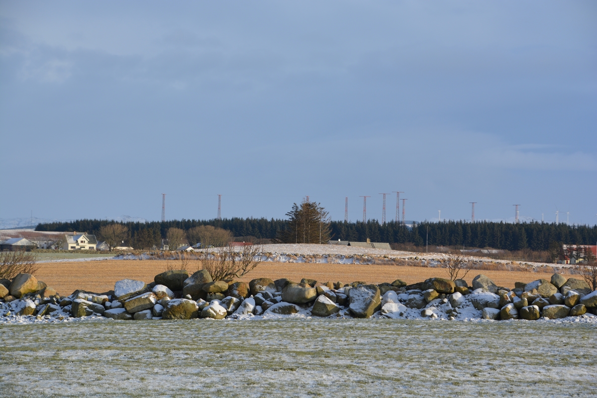 Anlegget består av 10 master ved senderstasjonen for Rogaland radio. Hver mast er ca 50 meter høy. Mastene bar retningsantenner for kortbølgesendere, dipole teppeantenner, og er plassert i et spesielt mønster for å dekke alle retninger. Trådene henger på kryss og tvers, og kan på avstand minne om nettet i et fiskegarn.