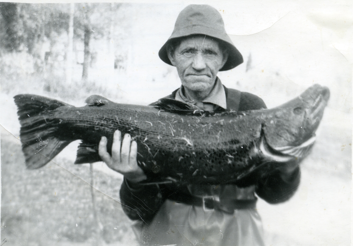 Mann med sydvest holder en stor fisk i hendene. Det andre bildet som viser mannen med kraniet av et bjørnehode. Sannsynligvis en bjørn han hadde skutt i Vassfaret.