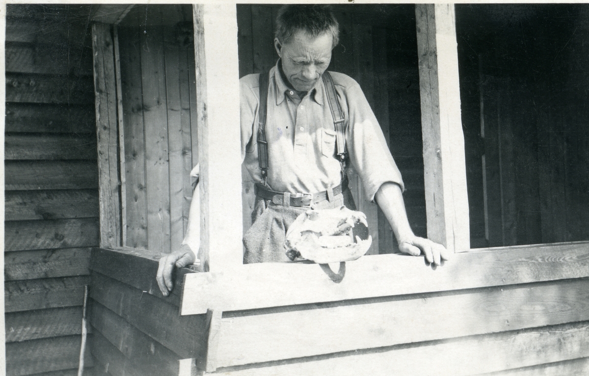 Mann med sydvest holder en stor fisk i hendene. Det andre bildet som viser mannen med kraniet av et bjørnehode. Sannsynligvis en bjørn han hadde skutt i Vassfaret.