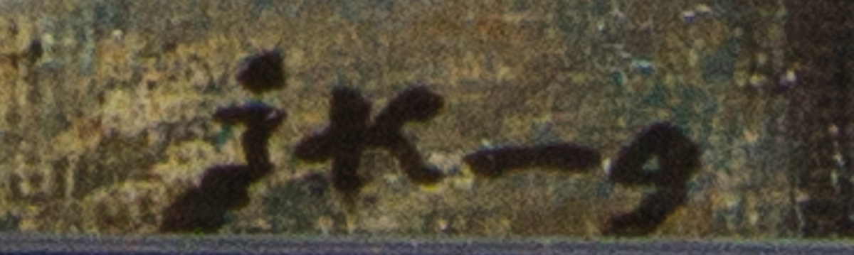 Karl XII stående i helfigur med ena handen i sidan. Den andra pekar på ett lejon. Ovanför svävar Fama, eller motsvarande allegorisk figur. Skissartat utförande.