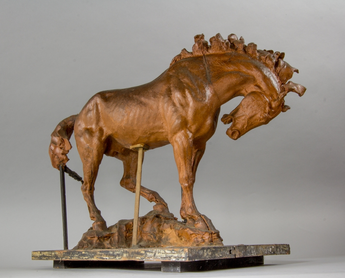 Häststudie till Pegasus, helfigur.