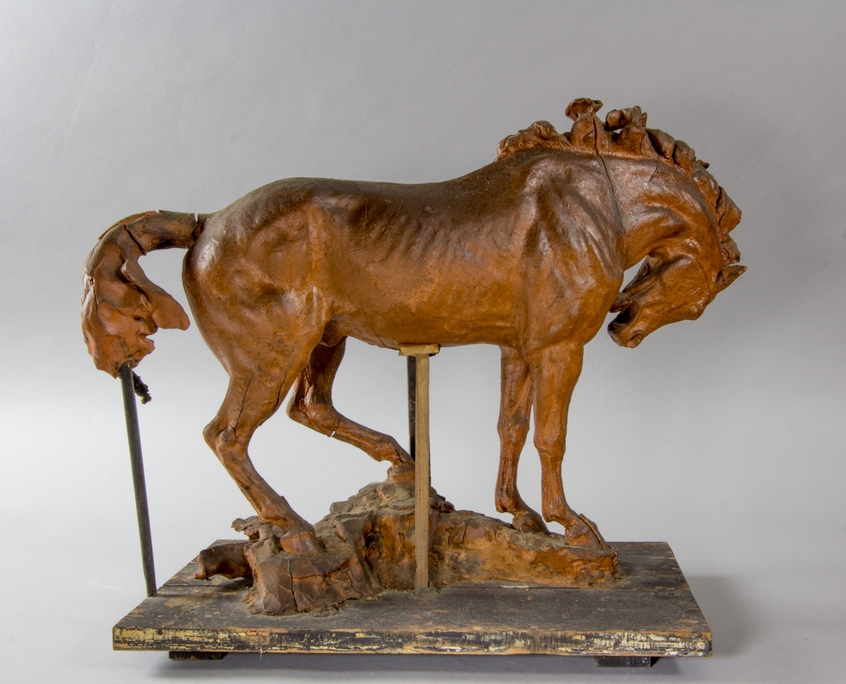 Häststudie till Pegasus, helfigur.