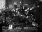 Olof B Larsson år 1934, 10558.