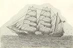 Barkskepp,(tidigare fullriggare), 706 nettoton. Byggd 1866 i Liverpool som atlantclipper. Inköpt till Oskarshamn 1898 av C.J.Sandells rederi. Befälhavare bl.a. Rikard Juhlin. Ca 1908 såld till Norge. Torpederad 1917. Teckning av J.H.Götherström. Se 