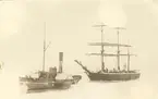 Malvina av Bergkvara
Barkskepp, 354 ton br. Byggd i Härnösand 1848. Redare 1910: P.A.Jonsson, Bergkvara. Fanns ej i B. 1895. Såld före 1915.
1883, hemma i Köpenhamn.
1895 hemma i Kasör.