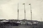 Vira136 ton, b. Figeholm, Sverige 1902. Sålt till Halden 1916 - till Sandmos 1918. ... av Norsk Register 1920.