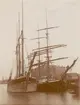 Zarina av Kalmar. 318 ton, b. Göteborg 1883.