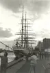 Tall Ships Race
Malmö 1972