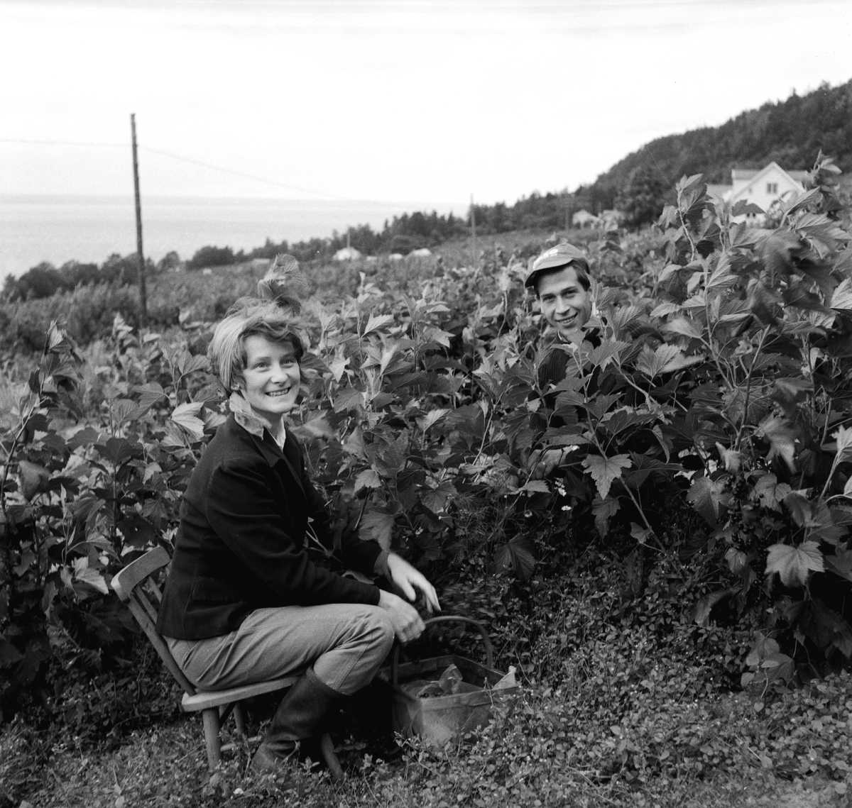 William "Cliff" Clifford och Birgitta Clifford bland vinbärsbuskarna i Gisebo, Huskvarna.