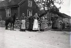 Familjeporträtt från Stenåsa by 1904. Kvinnor och barn fotograferas med den lilla ölandshästen. På en annan bild av samma familj finns även männen med liksom ett stort varmblod, spänt framför en åkvagn.