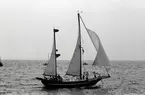 Segelfartyg, Tall Ships race, Karlskrona 1980.