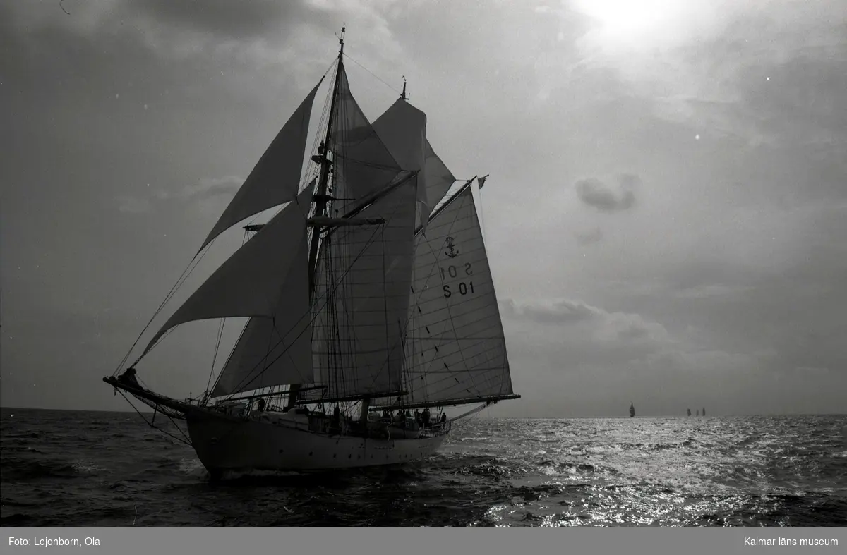 Gaffelskonerten Gladan, klass B, tar ledningen. 
Skeppare: Bengt Malm.

The Tall Ships' Races är en internationell havskappsegling för segelfartyg och stora segelbåtar som har arrangerats sedan 1956. Kappseglingen arrangeras av Sail Training International.

I tävlingen deltar skolfartyg, scoutbåtar och privata skutor och båtar från många olika länder; tävlingen i sig är inte det viktiga utan ungdomsarbetet. Ett av prisen är för gott kamratskap. Förutsättning för att få delta i seglingen är att minst 50 % av besättningen består av ungdomar mellan 15 och 25 år.
Nederländska briggen Mercedes i Antwerpen under tävlingarna 2006

Villkoret för att få deltaga är att fartyget är över 30 fot i vattenlinjen och att minst halva
besättningen består av s k trainees i åldern 16 till 25 år.

Klassindelningen är:
A-klass, över 160 fot (48,8 m)
B-klass, 160 - 100 fot (48,8 - 30,5 m)
C-klass, 100 - 30 fot (30,5 - 9,14 m)


Mellan 1973 och 2003 var tävlingens officiella namn The Cutty Sark Tall Ships' Races, då huvudsponsorn var Cutty Sark whisky. Från år 2004 var huvudsponsorn Antwerpen (hamnen, staden och provinsen), och 2010-2014 är Szczecin huvudsponsor.

1988 hölls Tall Ships´ race i Karlskrona.

98 fartyg kom till Karlskrona i samband med starten av Cutty Sark Tall Ships' Race.
Samtidigt besöktes Karlskrona av
* Vega international drygt 100 fartyg
* Kungliga Motorbåtsklubben drygt 15 stora motorbåtar
* SM i brädsegling ca 200 deltagare