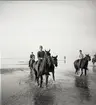 Värnpliktiga på stranden med sina hästar.  Norrlands dragonregemente K4, Umeå, 1955-1956.