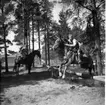 På hinderbana. Värnplikt vid Norrlands dragonregemente K4, Umeå, 1955-1956.