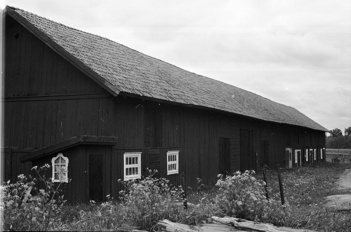 Ladugård och loge, Öster-Edinge 5:5, Tuna socken, Uppland 1987