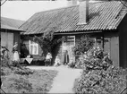 Guldskärskvarteret 25. Rebecka Andersson, Josef, Sara och Tyra Edhlund. Stående på trappan Ruth Skötsner, Östhammar, Uppland 1906