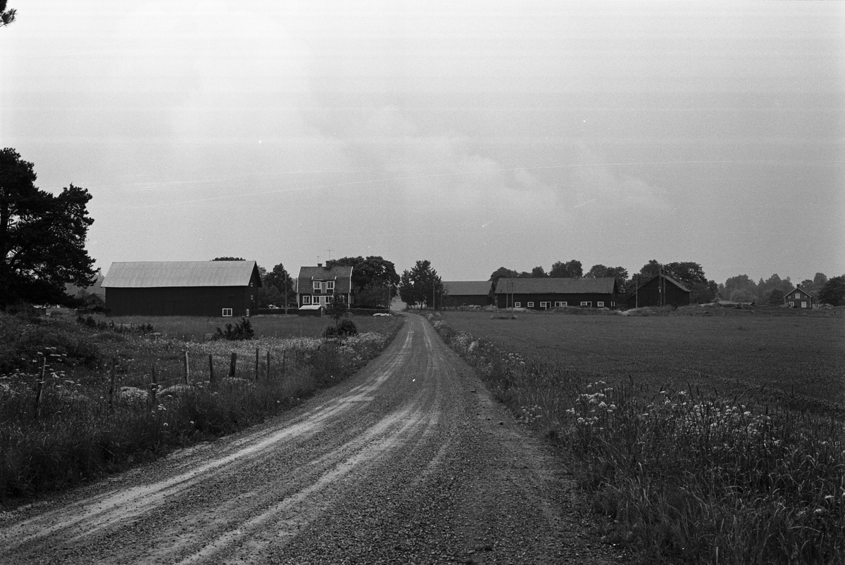 Vy över Krogsta 2:1, Tuna socken, Uppland 1987