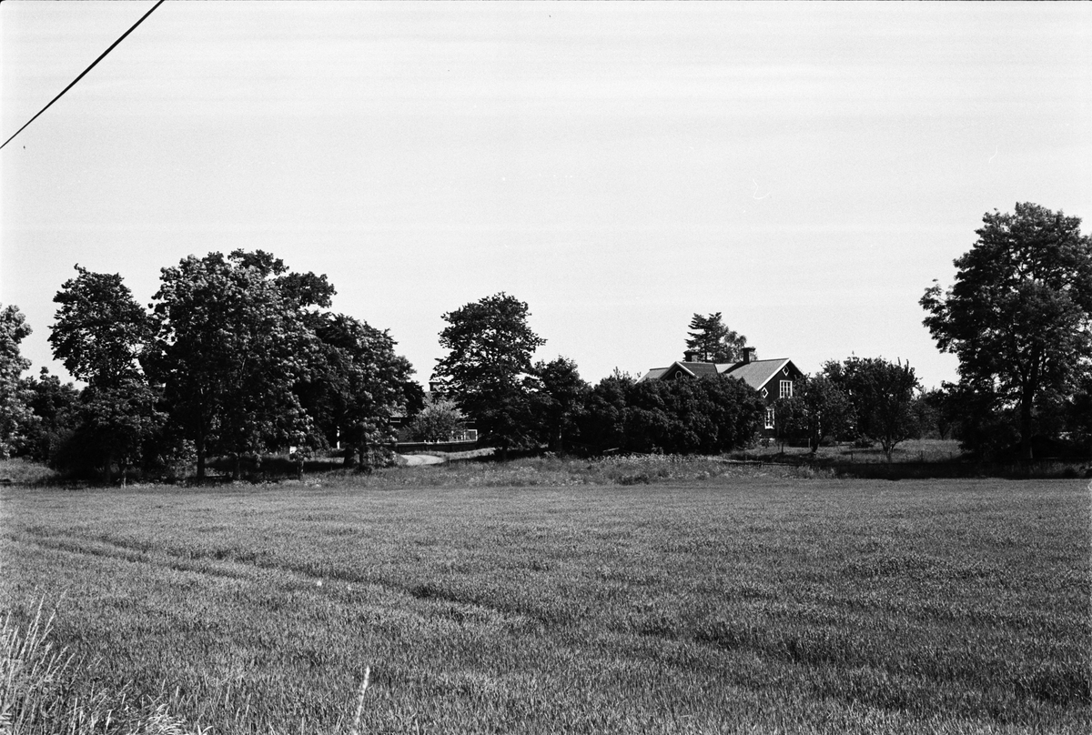 Vy över Saringe 1:2, Nygården, Tuna socken, Uppland 1987