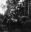 Två värnpliktiga i skogen med hästar. Norrlands dragonregemente K4, Umeå, 1955-1956.