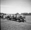 Ridtur med värnpliktiga från Norrlands dragonregemente K4, Umeå, 1955-1956.