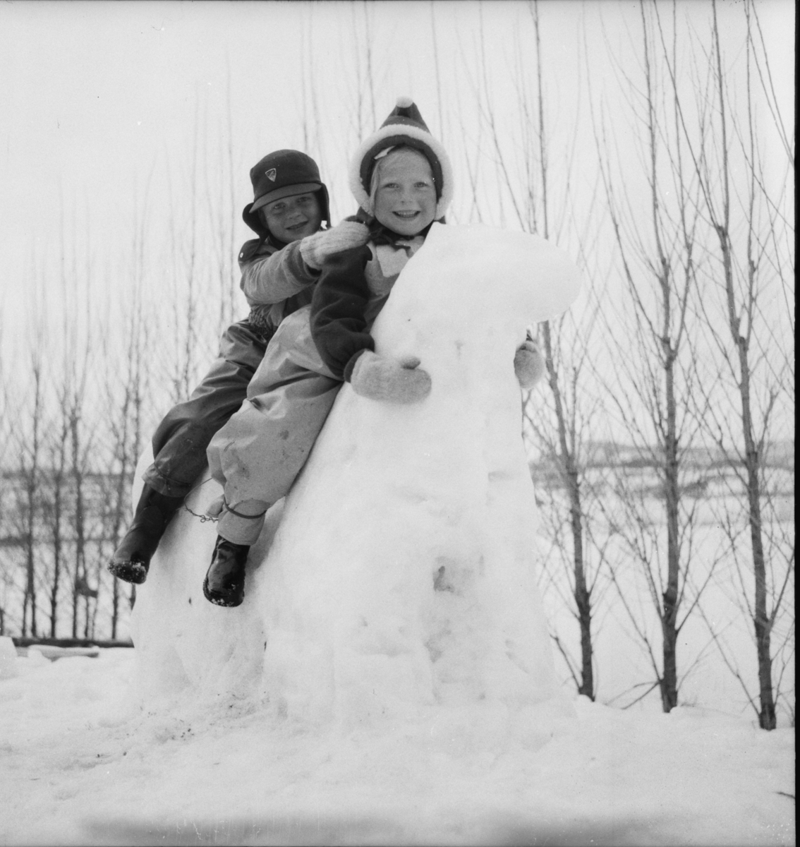 Vardens arkiv. "To barn. Børsesjødalen"  25.03.1954