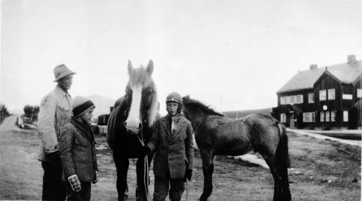 Hester, gutt i rideutstyr, mann.