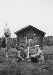 Stensund vid Treskifte. Professor Björn Collinder som upptec
