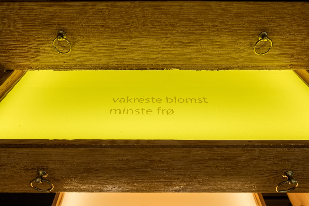Hanne Tyrmi jobber innenfor et mangfold av skulpturelle uttrykk og teknikker. Verket "Frøfortellinger / Stories of Seeds" er et kunstnerisk og poetisk innspill i klimadebatten som føres innenfor ulike fagfelt på NMBU.

Tyrmi har tatt i bruk et fredet vitrineskap, et tidligere undervisningsskap, som utgangspunkt sin kunstneriske installasjon.10 av skuffene står åpne og er dekket av glassflater i monokrome farger hentet fra himmel, jord og hav. Platene ligger over skuffene som er lyssatt, og på hver av dem er det trykket en kort tekst. Tekstene er basert på samtaler Tyrmi har hatt med planteforsker og vekstgenetiker Roland von Bothmer, som bl.a. er involvert i arbeidet med Frøhvelvet på Svalbard, og på notater fra et seminar om Global Diversity i Longyearbyen. De 14 bronseskulpturer som ligger på glasshyller inne i skapet er individuelt utformet med utgangspunkt i frø fra ulike nyttevekster, som har vært og er viktige for folk i ulike deler av verden. Slik er de en påminnelse om et artsmangfold som er truet fra mange hold.