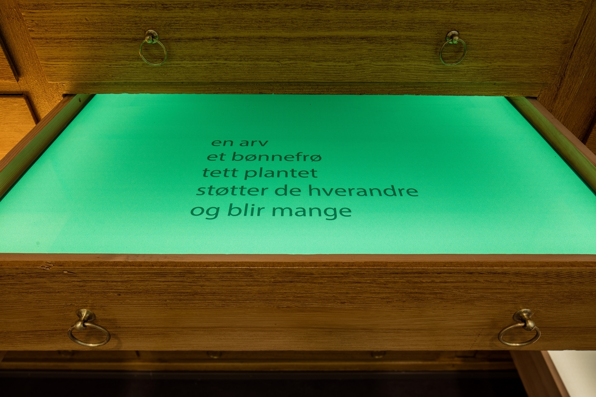 Hanne Tyrmi jobber innenfor et mangfold av skulpturelle uttrykk og teknikker. Verket "Frøfortellinger / Stories of Seeds" er et kunstnerisk og poetisk innspill i klimadebatten som føres innenfor ulike fagfelt på NMBU.

Tyrmi har tatt i bruk et fredet vitrineskap, et tidligere undervisningsskap, som utgangspunkt sin kunstneriske installasjon.10 av skuffene står åpne og er dekket av glassflater i monokrome farger hentet fra himmel, jord og hav. Platene ligger over skuffene som er lyssatt, og på hver av dem er det trykket en kort tekst. Tekstene er basert på samtaler Tyrmi har hatt med planteforsker og vekstgenetiker Roland von Bothmer, som bl.a. er involvert i arbeidet med Frøhvelvet på Svalbard, og på notater fra et seminar om Global Diversity i Longyearbyen. De 14 bronseskulpturer som ligger på glasshyller inne i skapet er individuelt utformet med utgangspunkt i frø fra ulike nyttevekster, som har vært og er viktige for folk i ulike deler av verden. Slik er de en påminnelse om et artsmangfold som er truet fra mange hold.
