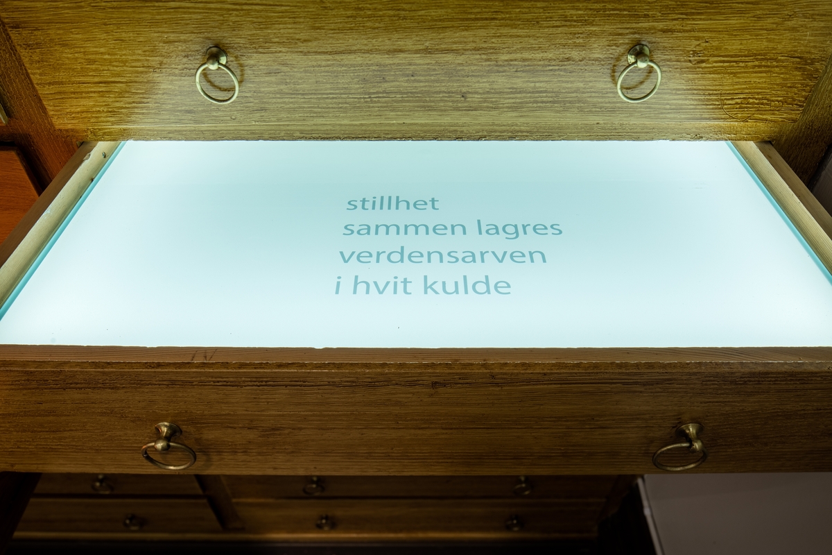 Hanne Tyrmi jobber innenfor et mangfold av skulpturelle uttrykk og teknikker. Verket "Frøfortellinger / Stories of Seeds" er et kunstnerisk og poetisk innspill i klimadebatten som føres innenfor ulike fagfelt på NMBU.

Tyrmi har tatt i bruk et fredet vitrineskap, et tidligere undervisningsskap, som utgangspunkt sin kunstneriske installasjon.10 av skuffene står åpne og er dekket av glassflater i monokrome farger hentet fra himmel, jord og hav. Platene ligger over skuffene som er lyssatt, og på hver av dem er det trykket en kort tekst. Tekstene er basert på samtaler Tyrmi har hatt med planteforsker og vekstgenetiker Roland von Bothmer, som bl.a. er involvert i arbeidet med Frøhvelvet på Svalbard, og på notater fra et seminar om Global Diversity i Longyearbyen. De 14 bronseskulpturer som ligger på glasshyller inne i skapet er individuelt utformet med utgangspunkt i frø fra ulike nyttevekster, som har vært og er viktige for folk i ulike deler av verden. Slik er de en påminnelse om et artsmangfold som er truet fra mange hold.