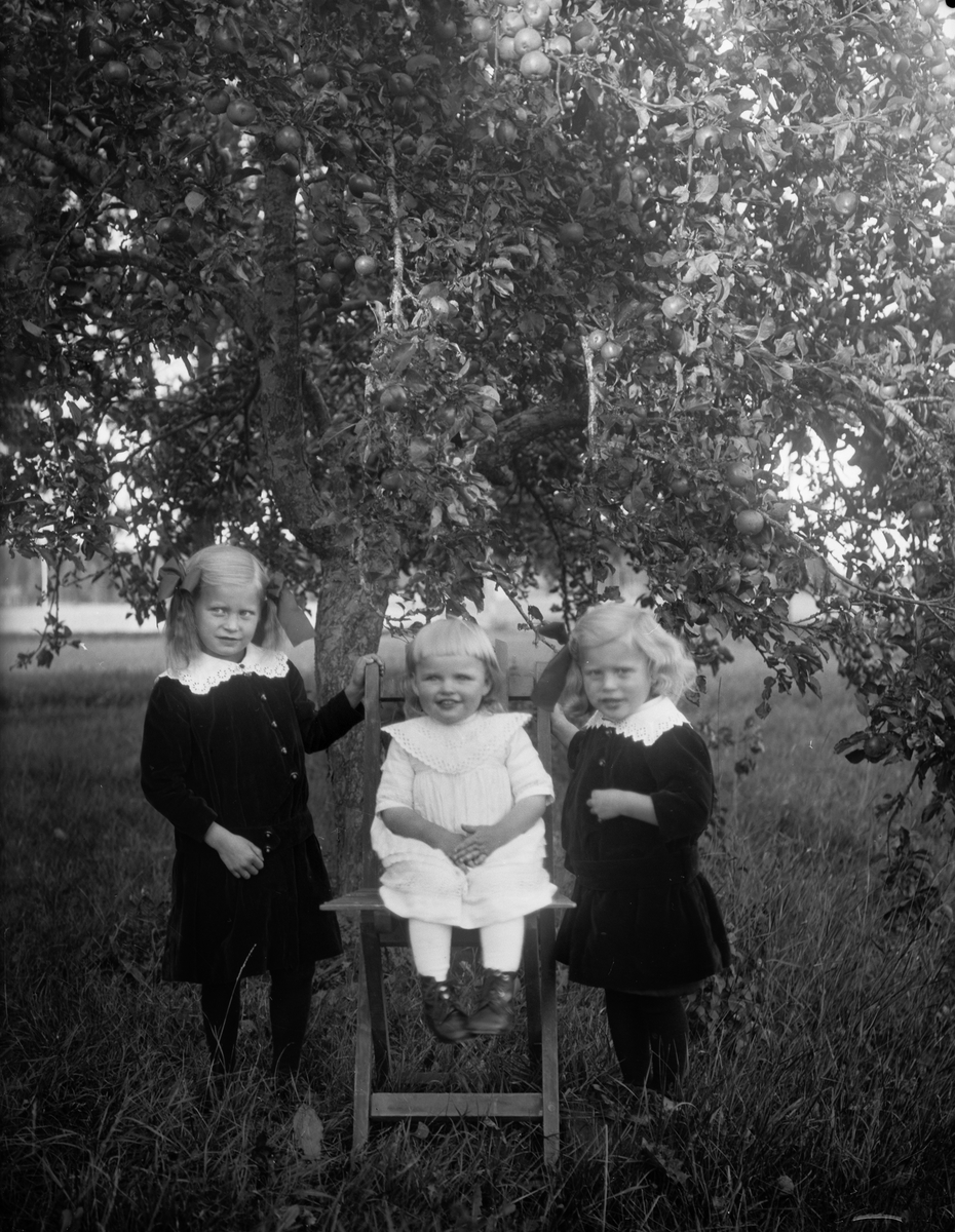 "Tre småjäntor, Oskar Södergrens Tibble Torstunaby", Uppland 1918