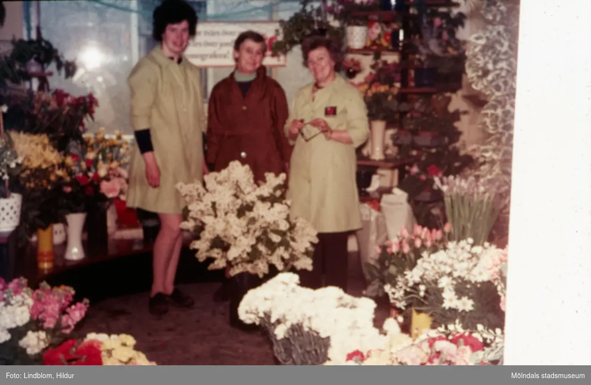 Tre kvinnor fotograferade i blomsteraffären vid Gamla Torget i Mölndal med adress Kvarnbygatan 45, 1970-tal. Kvinnan till höger hette Kerstin och var ägare av affären. Lokalen används numera av Corpus Pizzeria.

För mer information om bilden se under tilläggsinformation.