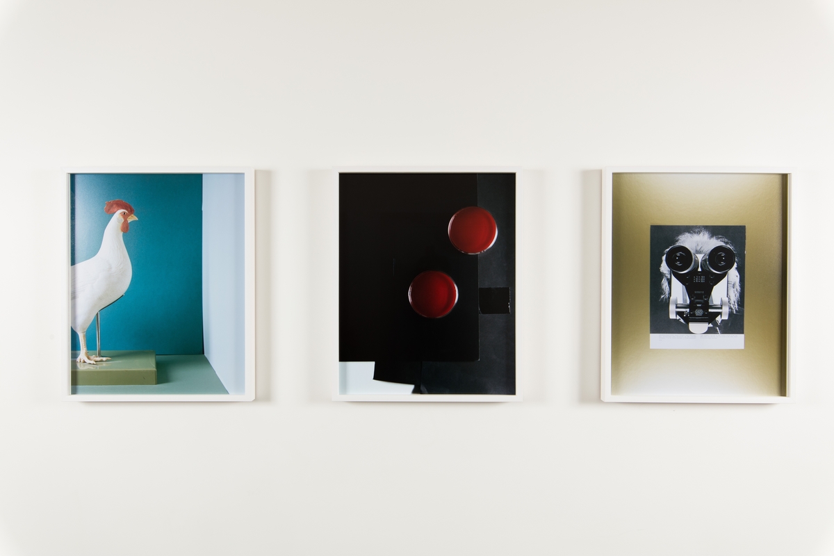 Hennes prosjekt for Urbygningen "Still Life #1- 9" er serie fargefotografier som viser ulike objekter fra virksomheten ved NMBU. Objektene er iscenesatte og bildene fremstår som fargerike, dekorative stilleben der gjenstandene inngår i et nærmest surrealistisk univers. Fotografi oppfattes av mange som å være et objektivt sannhetsvitne, men hva slags sannhet som dokumenteres her er høyst uklar. Marte Aas framhever at all forskning er en del av ulike sannhetsregimer som både kan utfordre og utslette hverandre over tid. En forskningsprosess vil alltid bære med seg subjektiv omgang med en objektiv virkelighet. Betrakteren er alltid en del av det hun betrakter. De objektene vi omgir oss med er ikke nøytrale og de forteller ofte potente historier om samtid, ideologi og politikk. Ved å isolere og tydeliggjøre noen av tingene fra NMBU i fotografier vil kanskje en ny historie om universitetet kunne leses. Hennes arbeider baserer seg snarere på et poetisk enn et positivistisk, forhold til tingene. De ni fotografiene er montert som to serier og plassert i sosiale soner foran to av byggets foredragssaler.